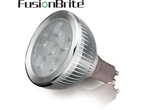 PAR30 LED Light